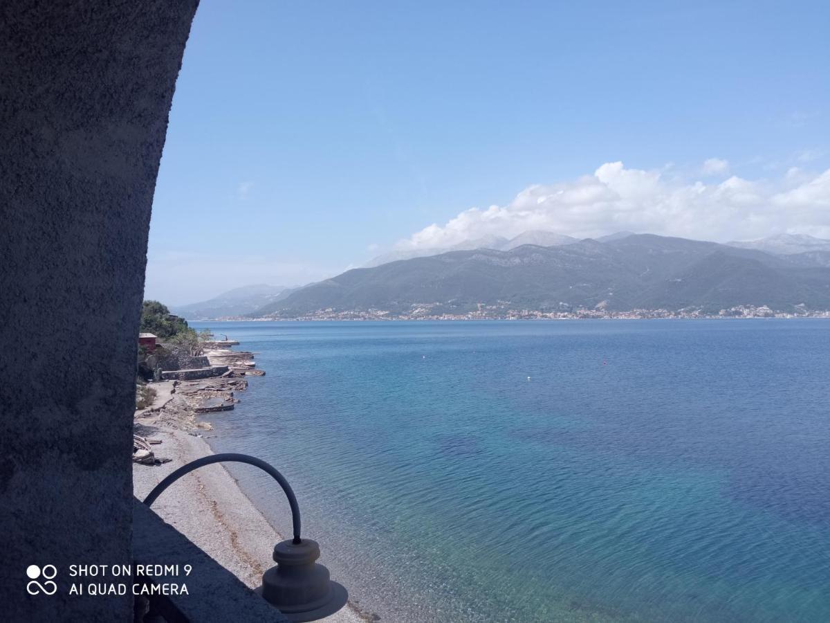 Apartments Petrovic Tivat Eksteriør billede
